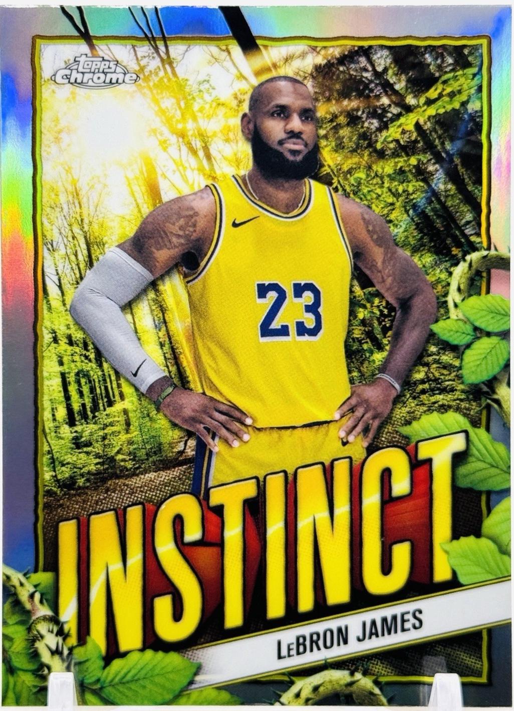 LeBron James — NBA 2024