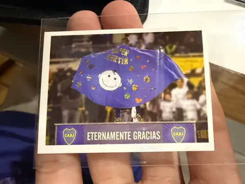 Boca bandera — Boca Juniors 2011
