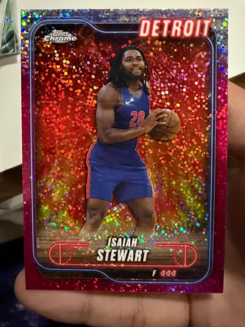 Isaiah Stewart — NBA 2024
