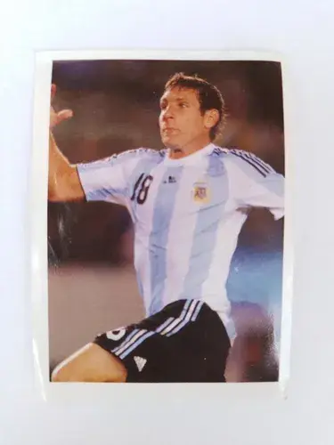 Martin Palermo — Argentina 2011