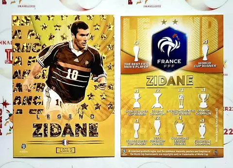 Zinedine Zidane — Francia 2024