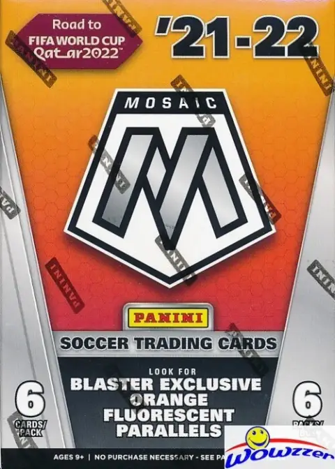 Mosaic Road to World Cup 2022